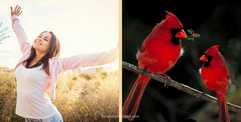 why does listening to birdsong make you happy